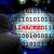 Why Businesses Are Turning to Digital Dashboards for Insights
