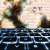 Zoom Fixes Critical Account Hijacking Security Flaw